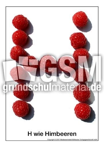 H-wie-Himbeeren.pdf